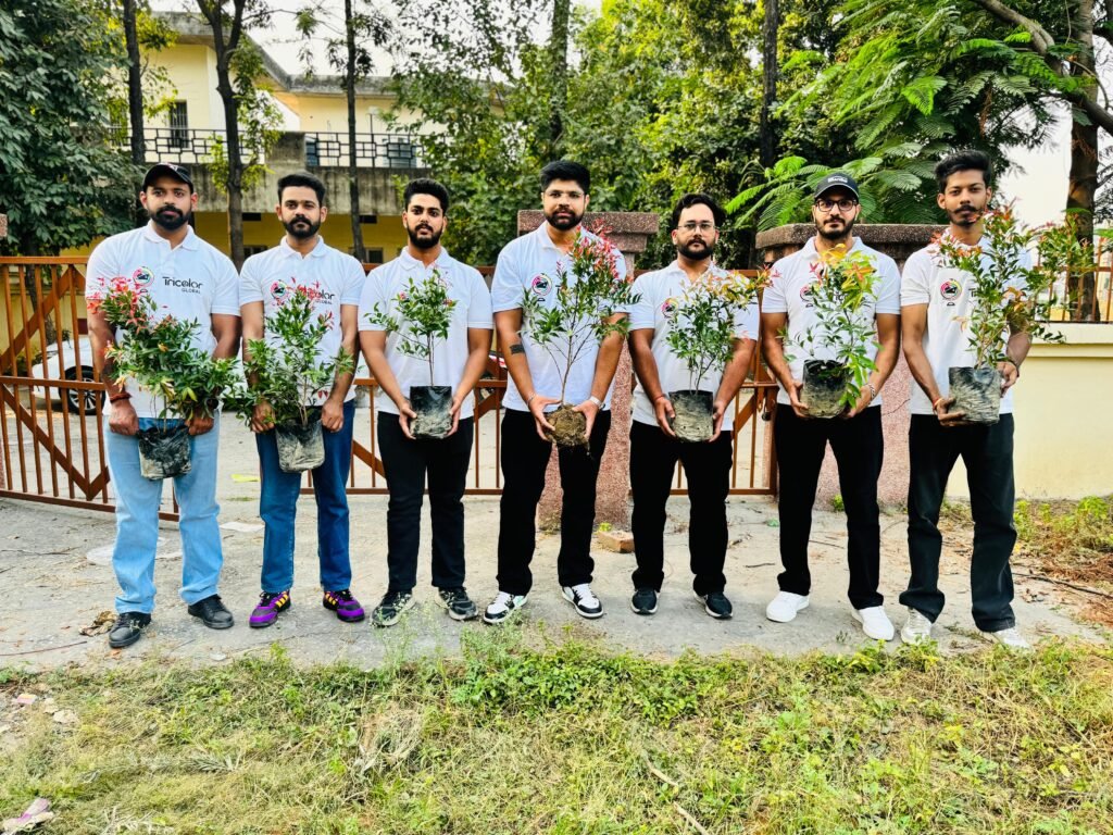 tricolor plants